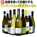 ワイン飲み比べセット 白ワイン セット 送料無料 第34弾 自信 を持ってお届けするワンランク上の 極旨 白ワイン だけ 9本 セット ワイン ワインセット セット 白ワインセット 白 9本セット 辛口 飲み比べ ギフト プレゼント wine