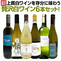 白ワイン セット 送料無料 第41弾 当店≪極≫ 厳選 白ワイン 好きならこのセット 格...