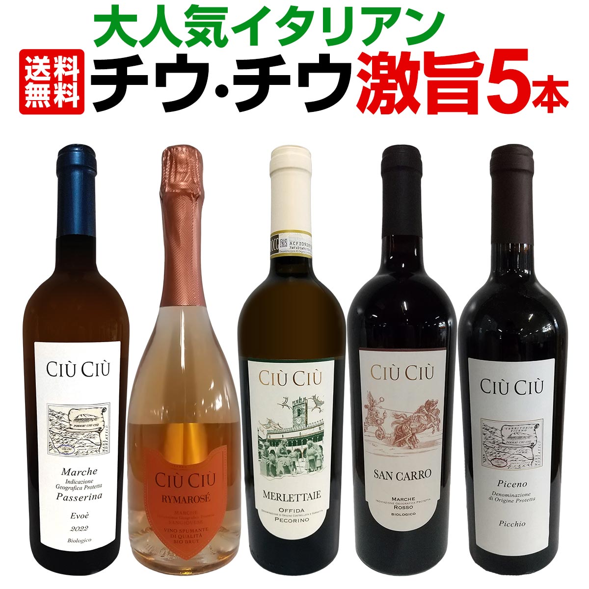 【送料無料】大人気イタリアン【チウ・チウ】激旨5本セット