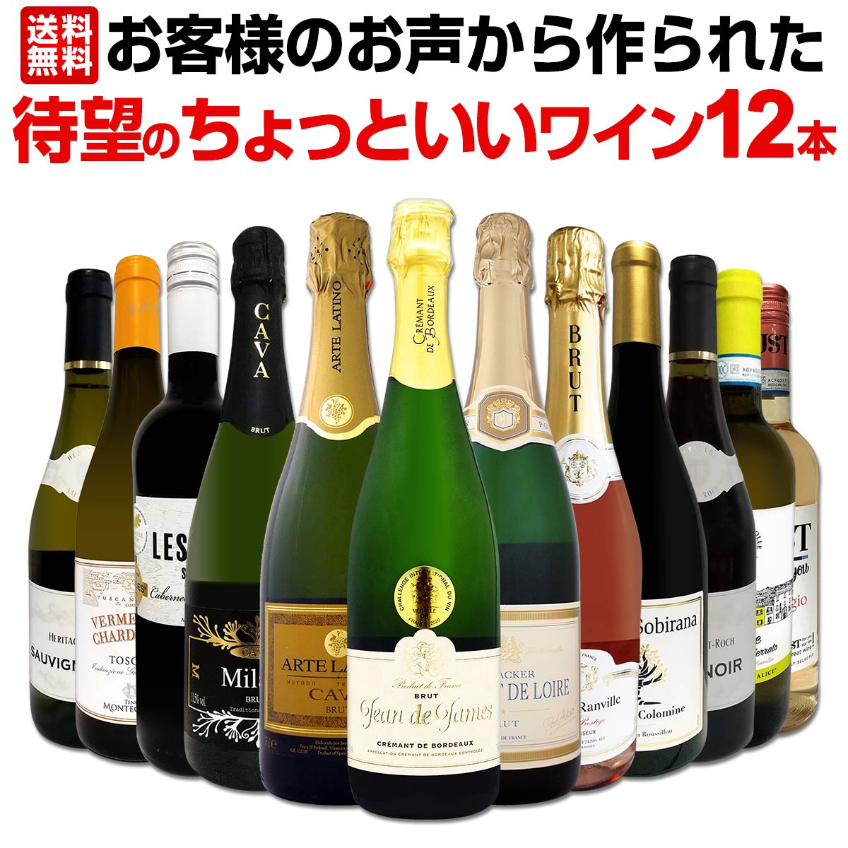 【送料無料】お客様のお声から作られた待望のちょっといいワイン12本セット！