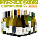 【送料無料】第100弾!当店オススメばかりを厳選したちょっといい白ワイン12本セット!