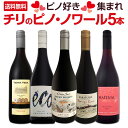 【送料無料】ピノ好き集まれ!品質向上目覚しいチリ・ピノ5本!