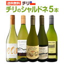 【送料無料】デイリー・シャルドネの決定版!向上目覚しいチリのシャルドネ5本セット!