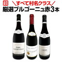 【送料無料★すべて村名クラス】厳選ブルゴーニュ赤ワイン3本セット!