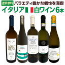 【送料無料】バラエティ豊かな個性を満喫★激旨イタリア白ワイン5本セット!!