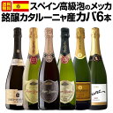 【送料無料】スペイン高級泡のメッカ・銘醸カタルーニャ産カバ6本セット!