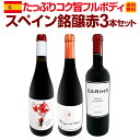 【送料無料】スペイン3大銘醸地から厳選!たっぷりコク旨フルボディ!スペイン銘醸赤3本セット!!
