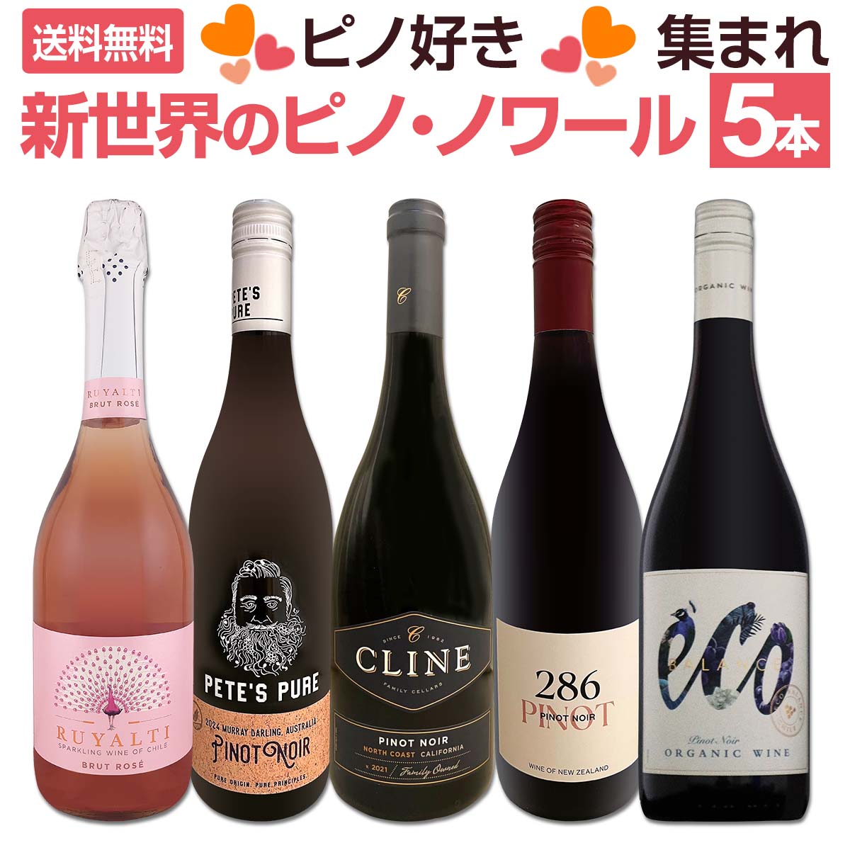【送料無料】ピノ好き集まれ！デイリーに楽しむ新世界ピノ・ノワール厳選5本！...