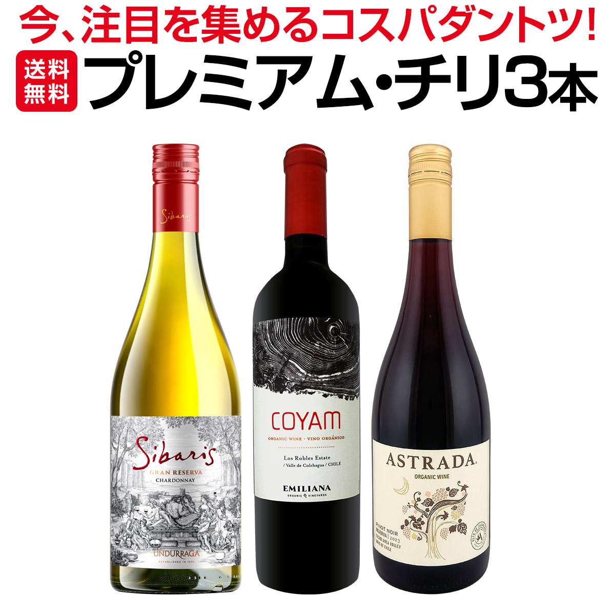 【送料無料】今、注目を集めるプレミアム・チリ3本セット！コスパのよさはダントツ！