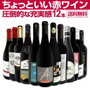 【送料無料】第89弾!当店オススメばかりを厳選したちょっといい赤ワイン12本セット!