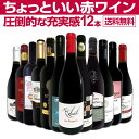 【送料無料】第90弾!当店オススメばかりを厳選したちょっといい赤ワイン12本セット!