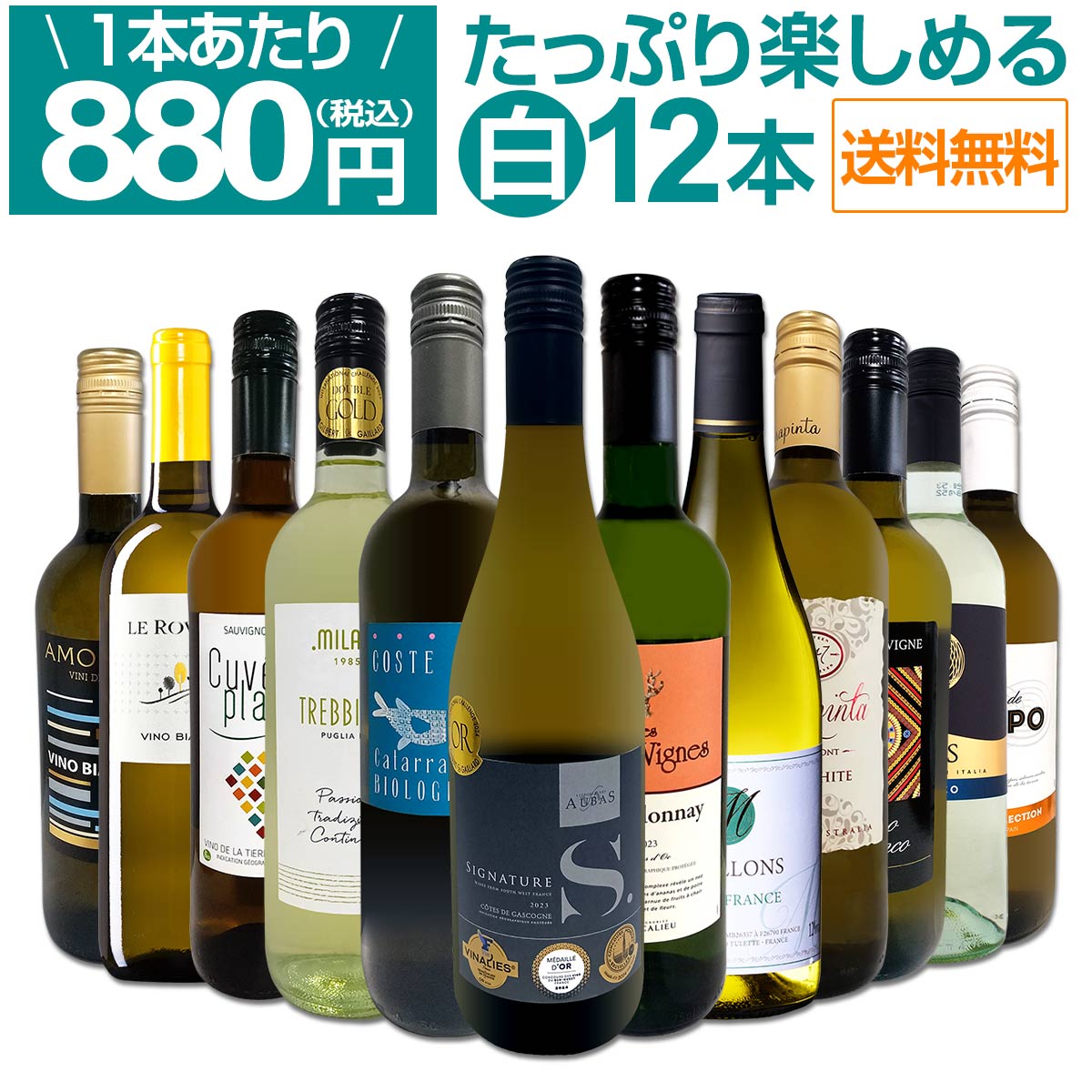 白ワイン セット ワインセット 白 ワイン ギフト 箱 京橋ワイン 京橋わいん 特選 12本 お歳暮 飲み比べ 詰め合わせ プレゼント 白ワイン 送料無料 【 第95弾 1本あたり880円(税込) 採算度外視の大感謝 厳選白ワイン 】のサムネイル