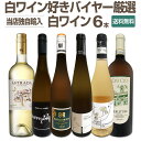 【送料無料】★当店独自輸入★暑い夏に!白ワイン好きバイヤー厳選白ワイン6本セット!