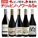 【送料無料】ピノ好き集まれ!品質向上目覚しいチリ・ピノ5本!