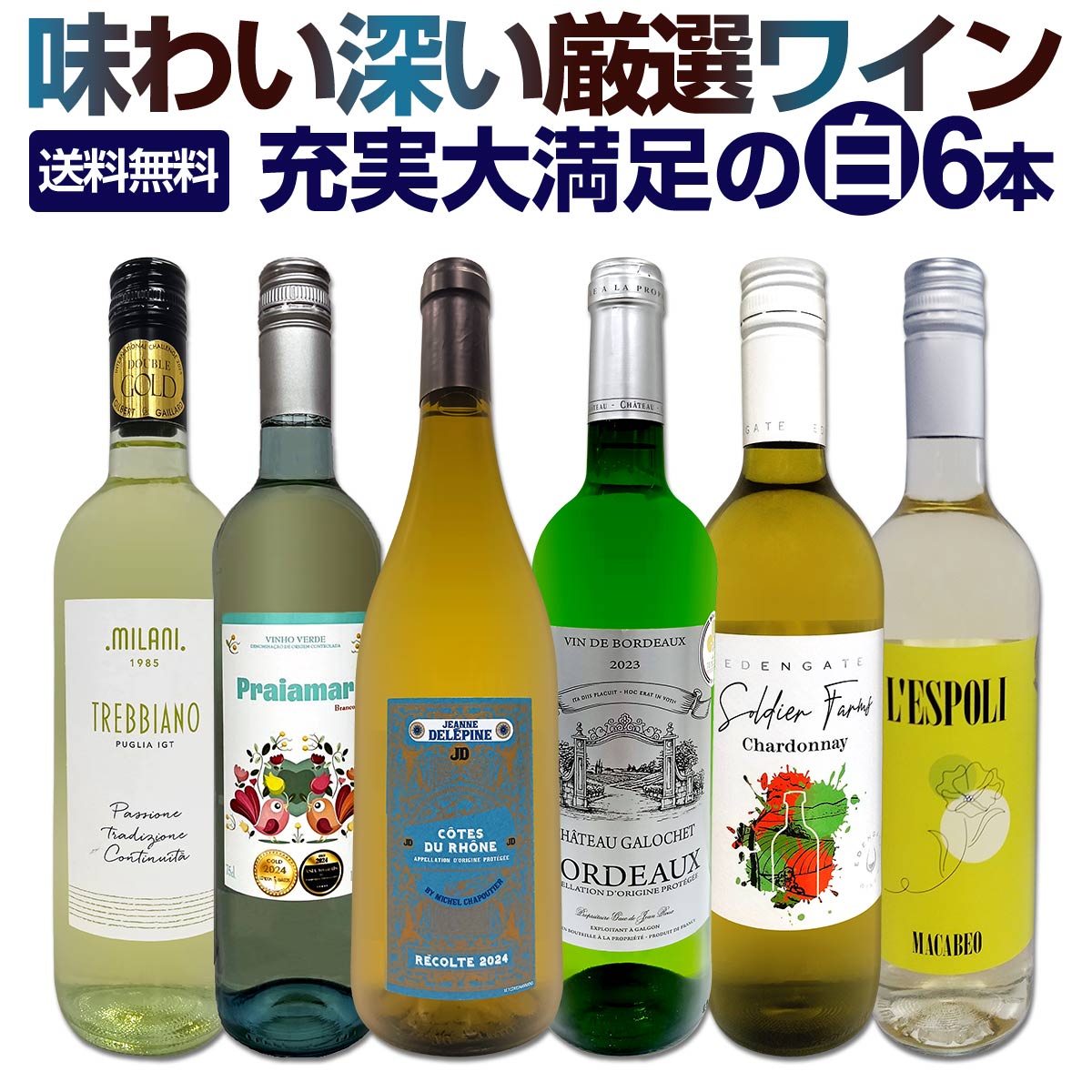 白ワイン 辛口 セット ワインセット 白 ワイン ギフト 箱 京橋ワイン 京橋わいん 特選 6本 お歳暮飲み比べ シャルドネ 金賞 送料無料 第234弾 当店厳選 これぞ極旨 辛口白ワイン 充実大満足 普段飲み お食事のお供 飲みくらの商品画像
