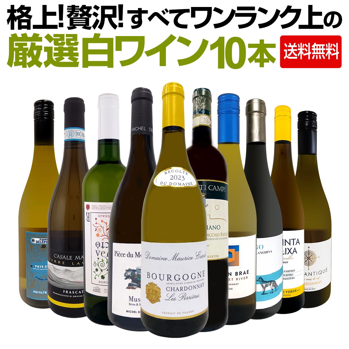 Rakuten - 【送料無料】格上!贅沢!すべてワンランク上の厳選白ワイン10本セット ブルゴーニュ シャルドネ シャブリ 辛口 高級辛口 フランス産 限定セット 極旨 在庫一掃 端数在庫一掃 ギフト 贈り物 飲み比べ 家飲み パーティー お買い得