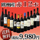 【送料無料】第12弾!超特大感謝!≪スタッフ厳選≫の激得赤12本9,980円(税別)セット! - 京橋ワイン