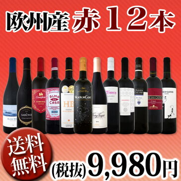 【送料無料】第79弾!超特大感謝!≪スタッフ厳選≫の激得赤ワイン12本9,980円(税別)セット!