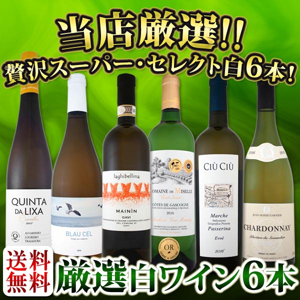 【送料無料】第90弾！当店厳選！これぞ極旨辛口白ワイン！『白ワインを存分に楽しむ！』味わい深いスーパー・セレクト白6本セット！