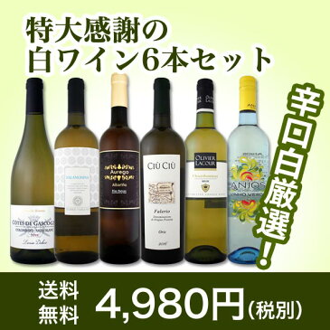 【送料無料】第101弾!採算度外視の謝恩企画!当店厳選!特大感謝の大満足白ワイン6本セット!