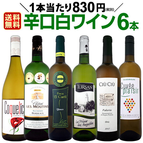 ワインセット 【送料無料】第117弾！採算度外視の謝恩企画！当店厳選！特大感謝の大満足白ワインセット 6本！