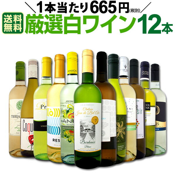 【送料無料】1本あたり665円(税別)!!採算度外視の大感謝!厳選白ワイン12本セット