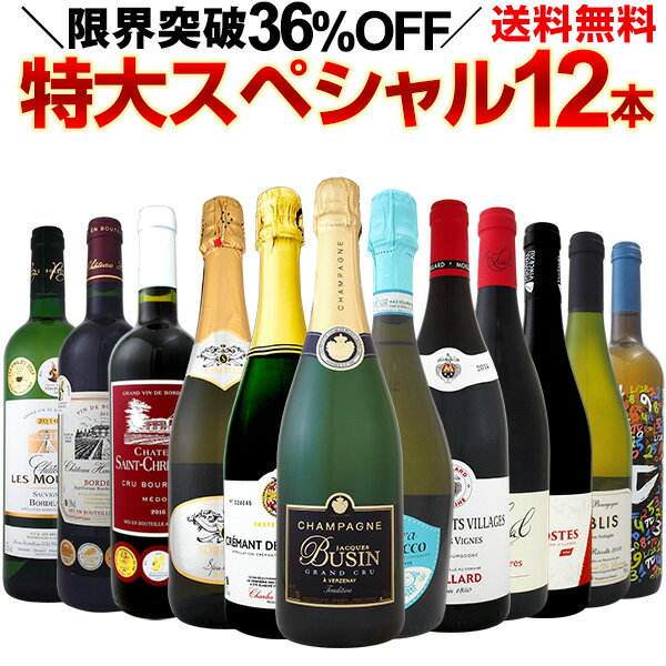 【送料無料】特級シャンパン＆ブルゴーニュ入り！特大スペシャル12本セット！