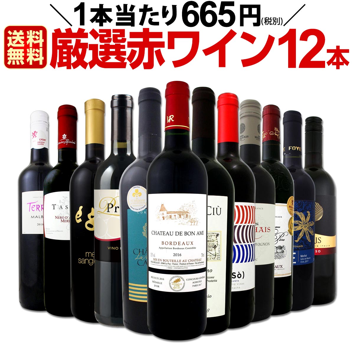 【送料無料】1本あたり665円(税別)!!採算度外視の大感謝!厳選赤ワイン12本セット