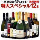 【送料無料】本格シャンパン＆ブルゴーニュ入り！特大スペシャル12本セット！