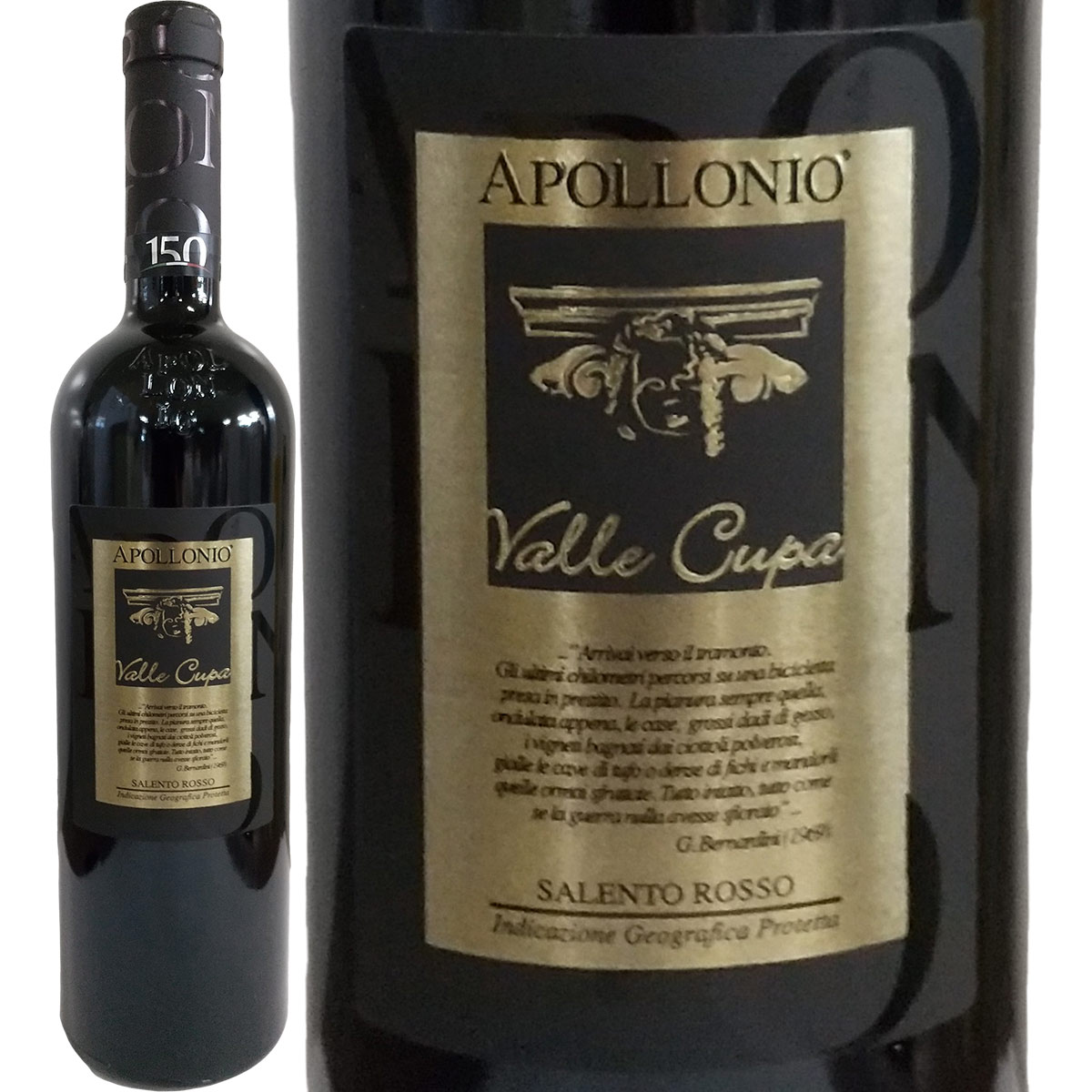 アッポローニオ・ヴァッレ・クーパ 2013【イタリア】【赤ワイン】【750ml】【フルボディ】【辛口】