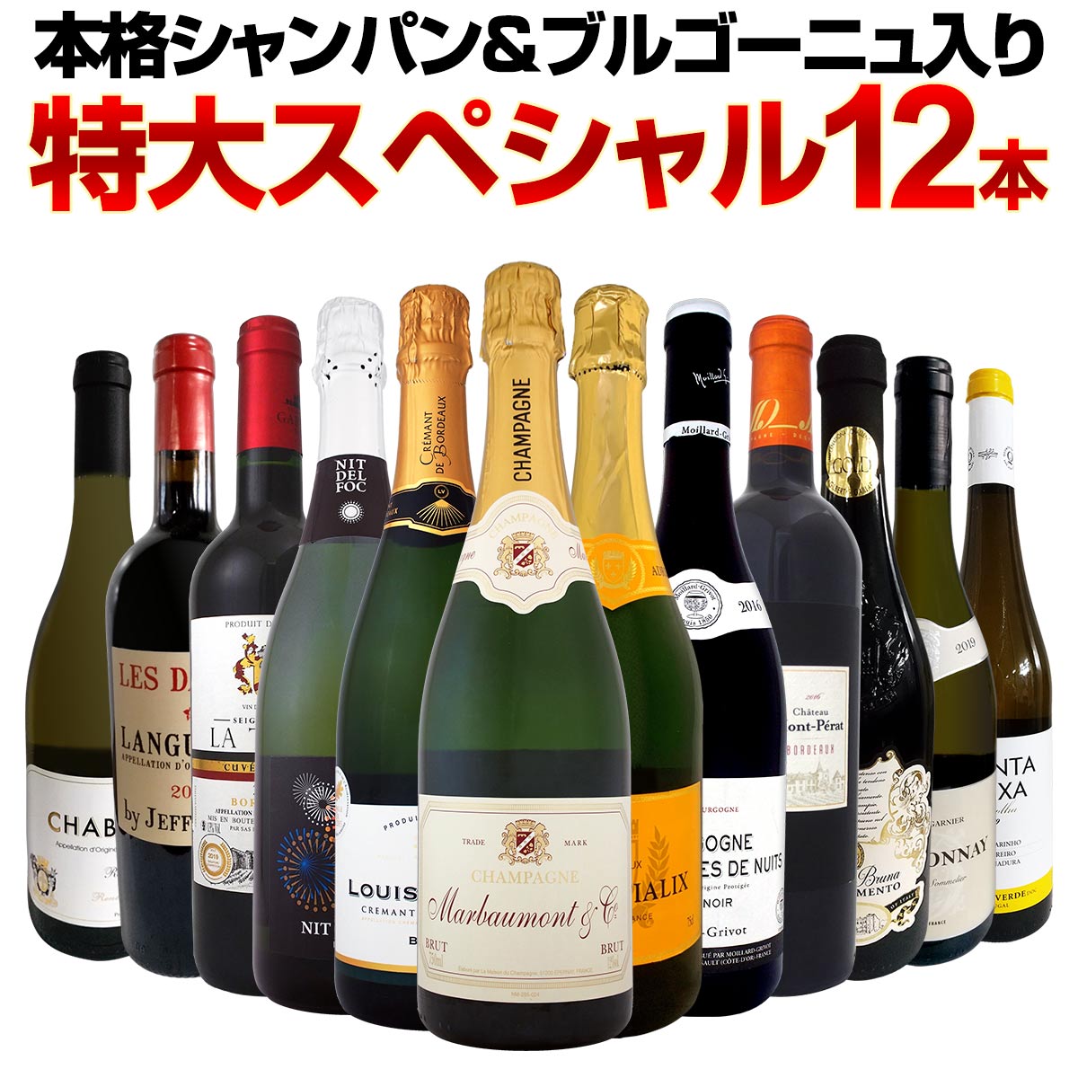 【送料無料】本格シャンパン＆ブルゴーニュ入り！特大スペシャル12本セット！