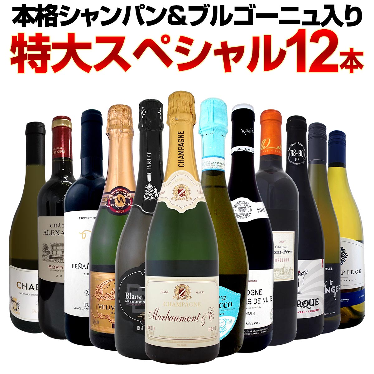 【送料無料】本格シャンパン＆ブルゴーニュ入り！特大スペシャル12本セット！