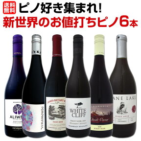 【送料無料】ピノ好き集まれ！新世界のお値打ちピノ6本セット！ワイン ワインセット セット 赤ワインセット 赤ワイン 赤 飲み比べ 送料無料 ギフト プレゼント 750ml