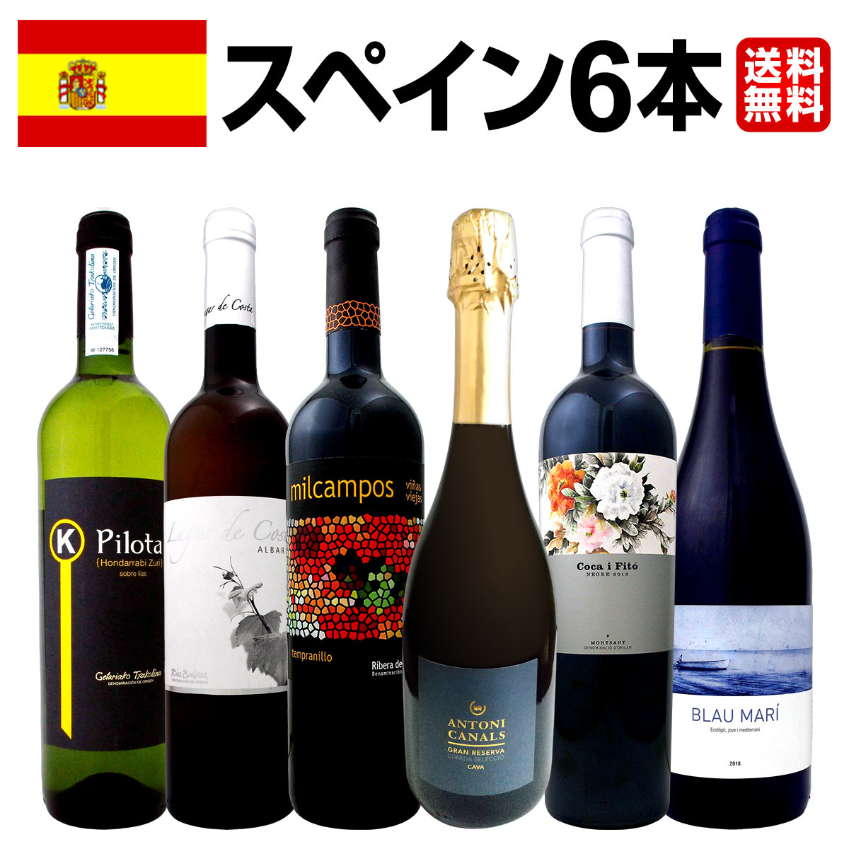 【送料無料】華麗なる新時代スペインワイン6本セット!!