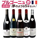 【送料無料】厳選ブルゴーニュ赤ワイン5本セット!