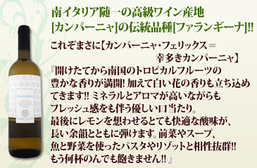 【送料無料】第101弾!採算度外視の謝恩企画!当店厳選!特大感謝の大満足白ワイン6本セット!