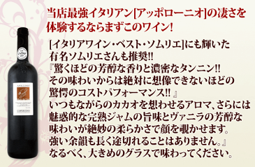【送料無料】第107弾!採算度外視の謝恩企画!当店厳選!特大感謝の大満足赤ワイン6本セット