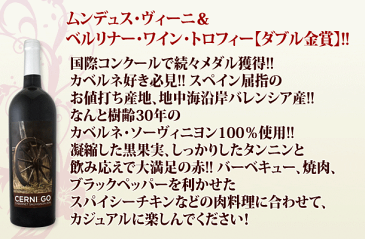 【送料無料】第107弾!採算度外視の謝恩企画!当店厳選!特大感謝の大満足赤ワイン6本セット