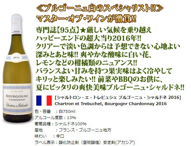 【送料無料】第96弾！当店厳選！これぞ極旨辛口白ワイン！『白ワインを存分に楽しむ！』味わい深いスーパー・セレクト白6本セット！