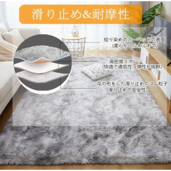 ラグ、カーペット、約200 x 250センチメートル(78.7 x 98.4インチ)、洗える、防音、厚さ10ミリメートル(0.4インチ)、高反発、滑り止め、抗菌、臭い防止、ダ