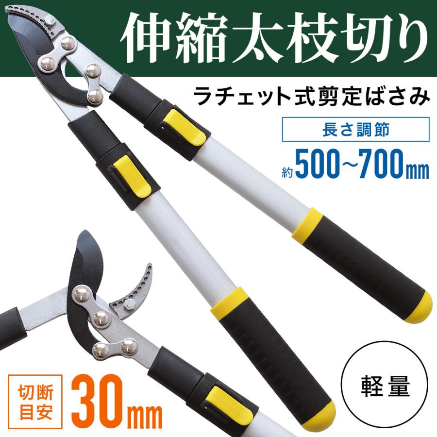 高枝切りバサミ 伸縮 軽量 枝切りはさみ 剪定鋏 剪定ばさみ 枝きりはさみ 高枝切鋏 高枝切り鋏 高枝きりばさみ 超軽量 鋏 手軽 庭木 高枝切り