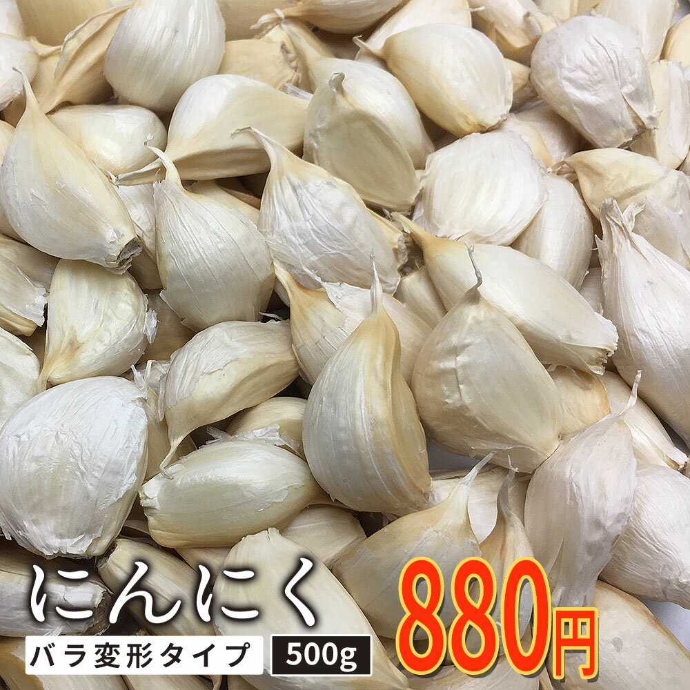 最安値に挑戦 にんにく 変形訳あり オープン特価 にんにく500g 訳あり お得なバラタイプ サイズ小 にんにく味噌やにんにく醤油漬けにも 高級品種 青森県産 福地ホワイト六片 黒にんにく作りにも 青森の にんにく屋 ケイちゃん ニンニク メール便でお届けのサムネイル