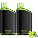 電子タバコ 使い捨て ベイプ メンソール 32,000回吸引可能 禁煙パイポ vape シーシャ 持ち運び 爆煙 水蒸気タバコ ニコチン0 タール0 禁煙グッズ V2型 ARASHI マスカット*2|詳細画像