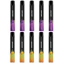 電子タバコ 使い捨て 持ち運び シーシャ VAPE 10本セット大容量 15000回吸引可能 ベイプ 爆煙 水蒸気タバコ 禁煙サポート ニコチンなし タールなし オートスイッチ SKIRA (巨峰*5+マンゴー*5)