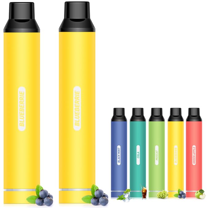 電子タバコ 使い捨て シーシャ 10000回吸引可能 ブルーベリー2本 大容量 長持ち 爆煙ベイプ 持ち運び 水タバコ VAPE 節煙 禁煙 ニコチン0 タール...