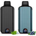 電子タバコ 使い捨て VAPE 36000回吸引 大容量 2個セット タール ニコチン0 爆煙 エアフロー調節可能 LED液晶ディスプレイ搭載 充電可能 キック感抜群 吸いごたえ シーシャ 持ち運び 禁煙 水蒸気タバコ 水タバコ V6型 TORIDO(スーパーメンソールxブルーベリー)