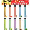 DBL 電子タバコ 使い捨て 持ち運び シーシャ ベイプ 任意5風味 5本入り 大容量 VAPE 禁煙パイポ 爆煙 水蒸気タバコ タール ニコチン0 禁煙サポート 禁煙パイポ STICK ZEROシリーズ(10風味選択可)