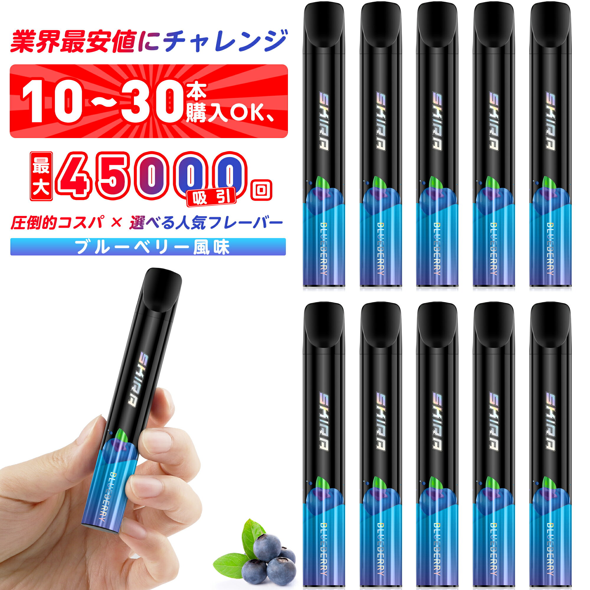 ŻҥХ ȤΤ ֥롼٥꡼ ѥ  Wŵ500߳10󴶼շ ȳǰĩ桪 SKIRA ...