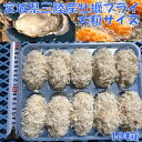 三陸宮城県産 冷凍牡蠣フライ 大サイズ 10粒入り 一粒約9cm 牡蠣 カキ かき フライ 天ぷら 揚げ物 冷凍 業務用【メーカー直送】【同梱/代引不可】