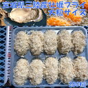 三陸宮城県産 冷凍牡蠣フライ 大サイズ 200粒入り 一粒約9cm 牡蠣 カキ かき フライ 天ぷら 揚げ物 冷凍 業務用【全国一律送料無料】【メーカー直送】【...